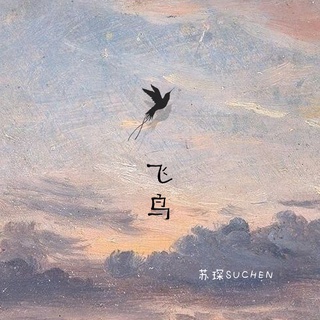 飞鸟 (伴奏) lyrics | Boomplay Music