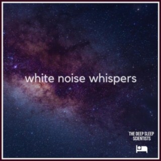 White Noise Whispers