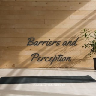 Barriers and Perceptions
