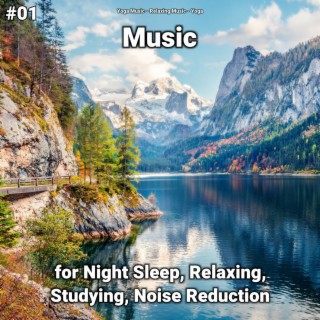 #01 Music for Night Sleep, Relaxing, Studying, Noise Reduction