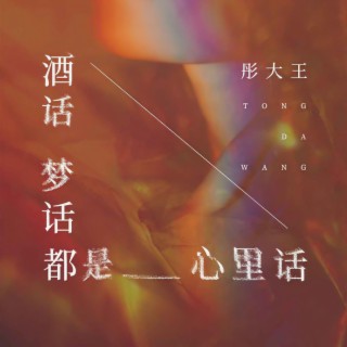 酒话梦话都是心里话 (伴奏) lyrics | Boomplay Music