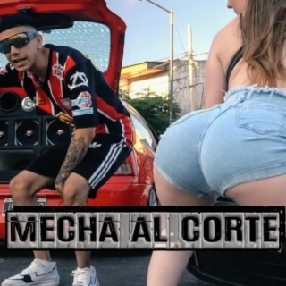 Mecha al corte