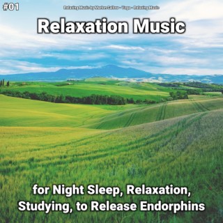 #01 Relaxation Music for Night Sleep, Relaxation, Studying, to Release Endorphins