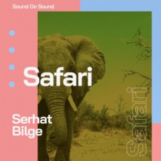 Safari