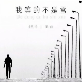 我等的不是雪 (DJ阿本版) lyrics | Boomplay Music