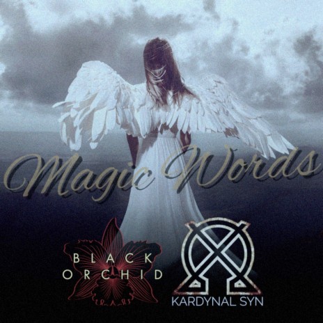 Magic Words (Special Edition) ft. kardynal syn | Boomplay Music