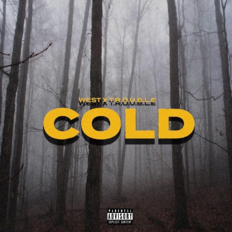 Cold ft. Trouble | Boomplay Music