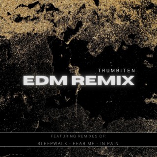 EDM Remix