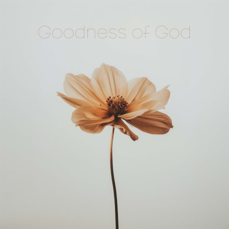 Goodness of God ft. Genavieve Linkowski & Mass Anthem | Boomplay Music