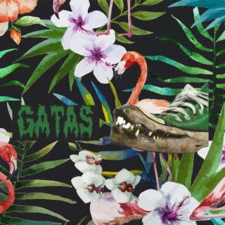 GATAS The Beat Tape