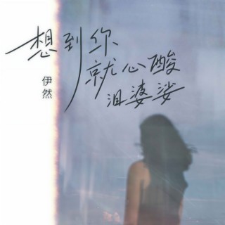 想到你就心酸泪婆娑 (伴奏) lyrics | Boomplay Music