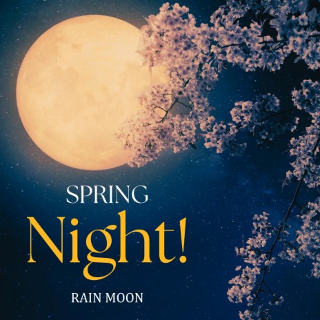 Spring Night | Boomplay Music