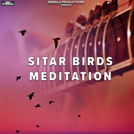 Sitar Birds Meditation
