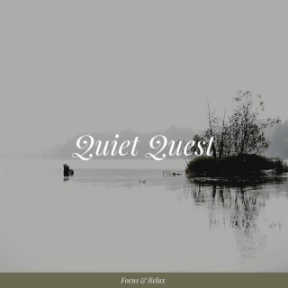 Quiet Quest: 432 Hz Concentration