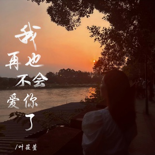 我再也不会爱你了 lyrics | Boomplay Music