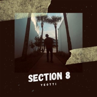 Section 8