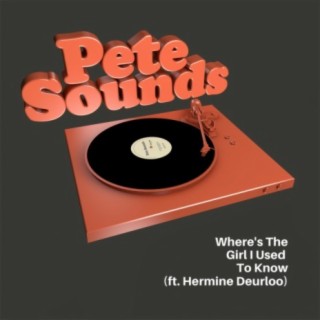 Where's the Girl I Used to Know (feat. Hermine Deurloo)