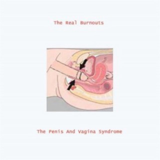 the penis and vagina syndrome