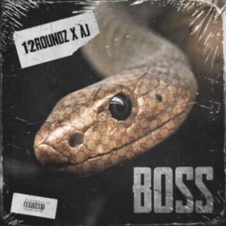 Boss (feat. 12roundz)