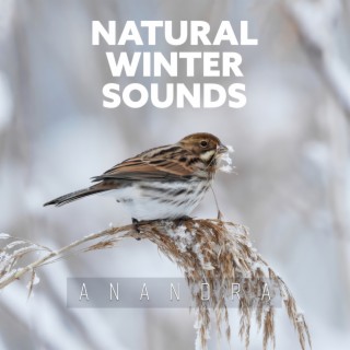 Natural Winter Sounds: Major Depressive Disorder, Multidimensional Anxiety
