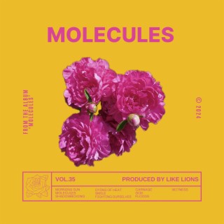 Molecules