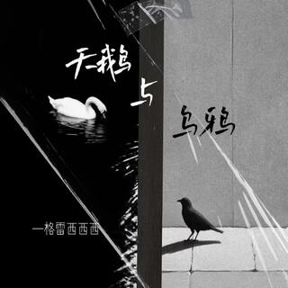 天鵝與烏鴉 lyrics | Boomplay Music