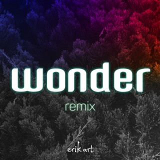 Wonder (Remix)