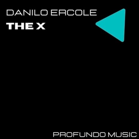 The X (Radio Edit)