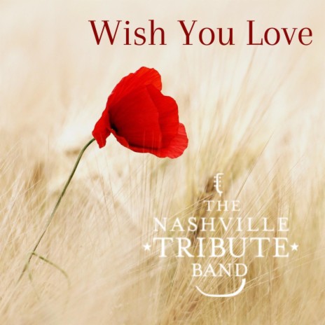Wish You Love (feat. Jason Deere) | Boomplay Music