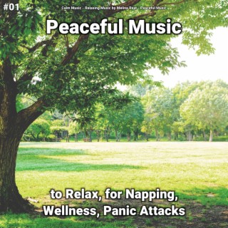 #01 Peaceful Music to Relax, for Napping, Wellness, Panic Attacks