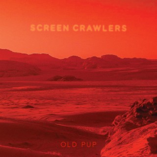 Screen Crawlers