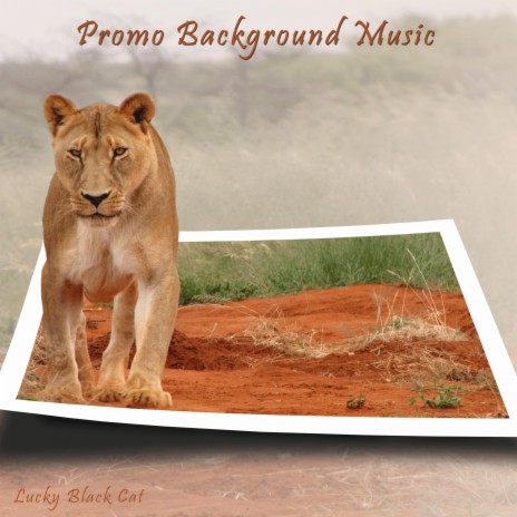 Promo Background Music | Boomplay Music