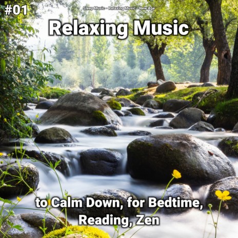 Delightful Relaxation Music ft. Sleep Music & Relaxing Music | Boomplay Music