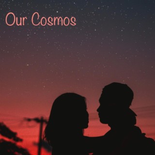 Our Cosmos