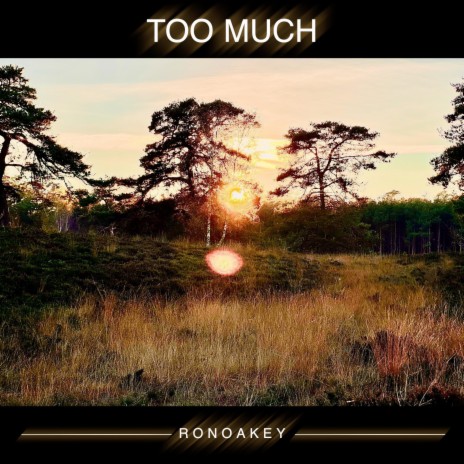 Too Much (Vocal Chillout Mix) | Boomplay Music