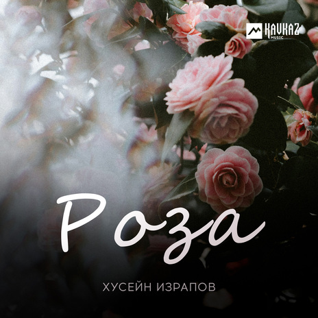 Роза | Boomplay Music