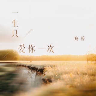 一生只爱你一次 lyrics | Boomplay Music