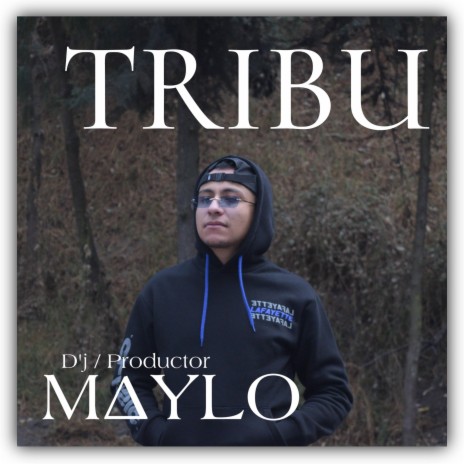 TRIBU | Boomplay Music