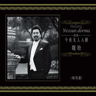 Nessun dorma ft. 魏松 lyrics | Boomplay Music