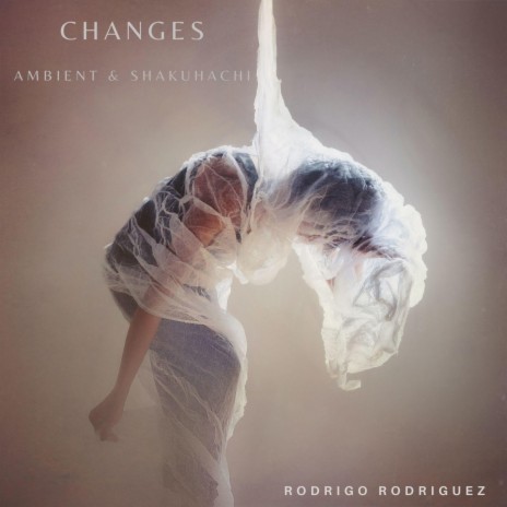 Changes (Ambient & Shakuhachi) | Boomplay Music