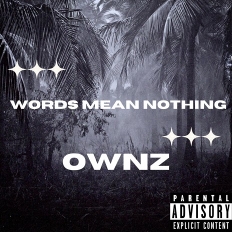 Words Mean Nothing | Boomplay Music