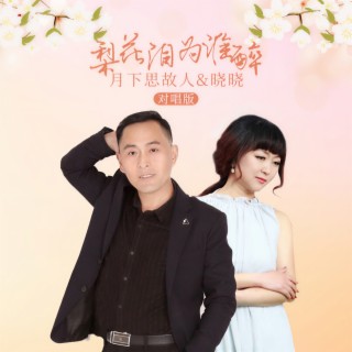 梨花泪为谁醉 (对唱版伴奏) ft. 晓晓 lyrics | Boomplay Music