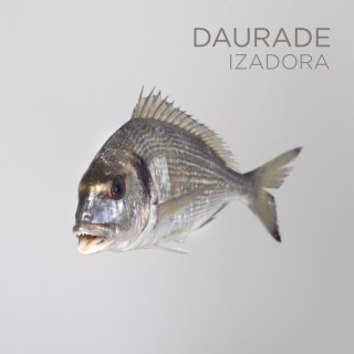 Daurade