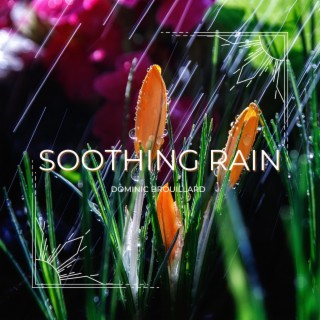 Soothing Rain