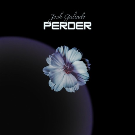 Perder | Boomplay Music