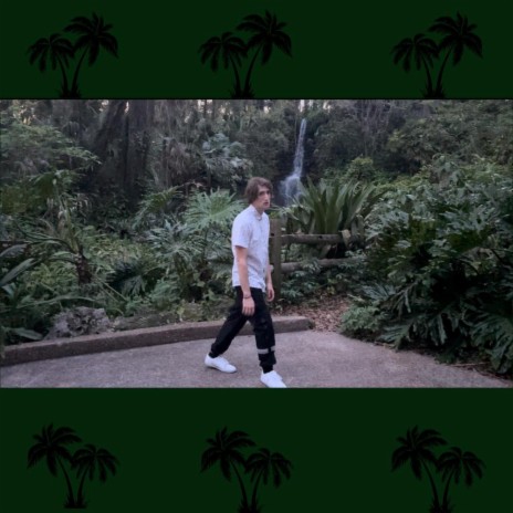 PALM TREE FREESTYLE | Boomplay Music