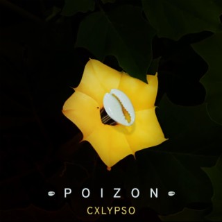 poizon