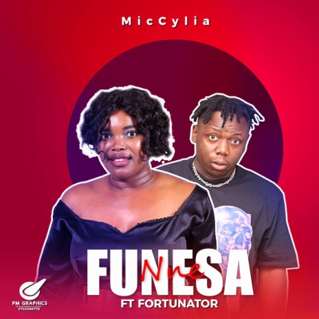 Funesa Nne ft. Fortunator & NTK wadi beat | Boomplay Music
