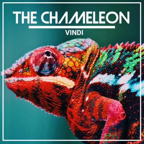 The Chameleon | Boomplay Music