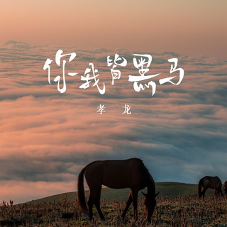 你我皆黑马 (伴奏) lyrics | Boomplay Music